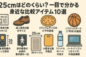 25cmの大きさって実際にどれくらい？身近なもので測ってみよう 